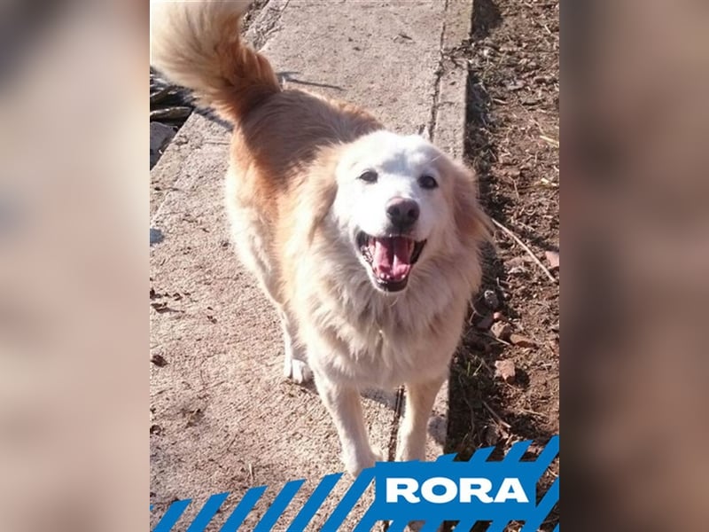 Rora