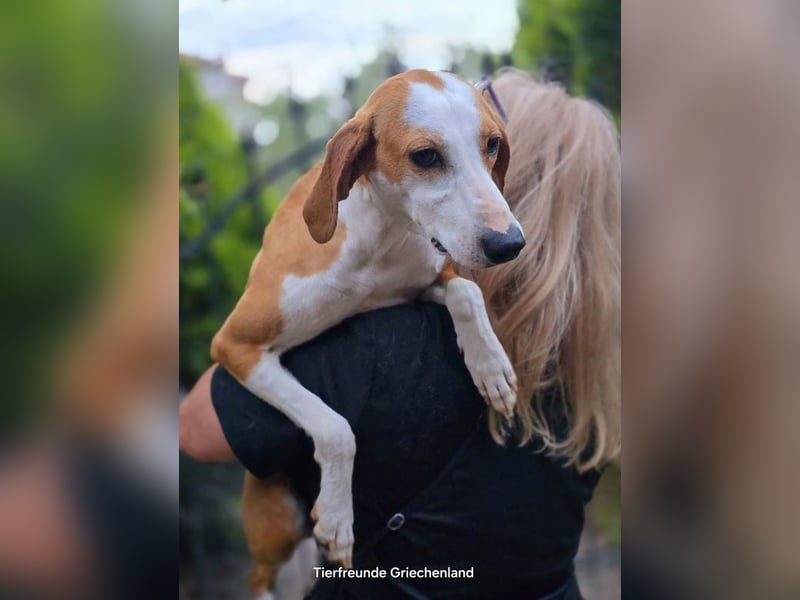 Annie sucht Traumzuhause!