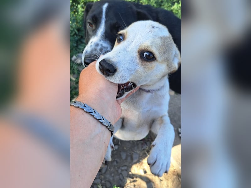 Kleine Nadja ( * 03 / 2025 ) sucht ihre Familie