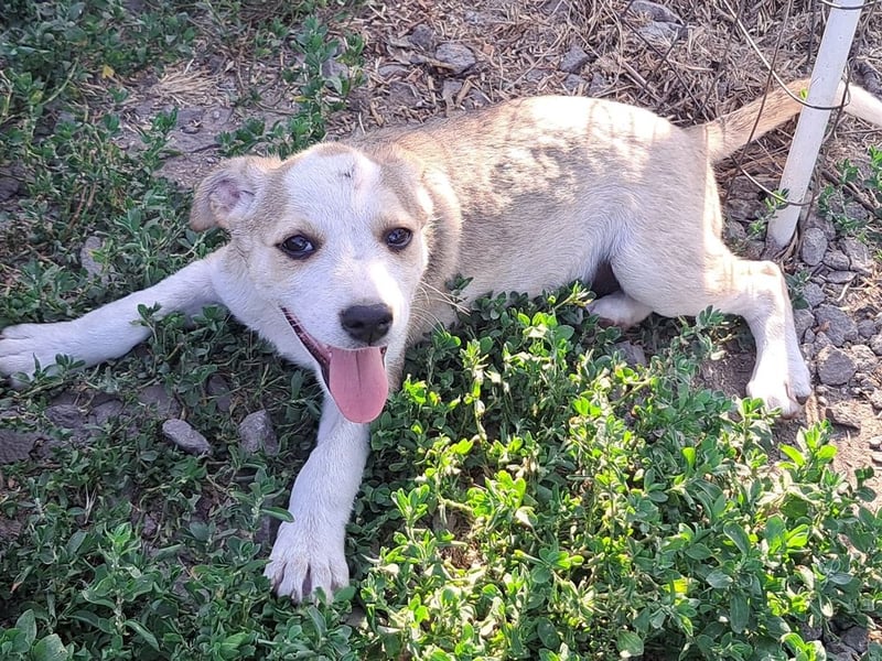 Kleine Nadja ( * 03 / 2025 ) sucht ihre Familie