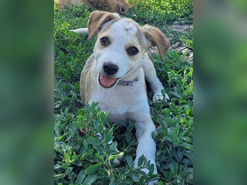 Kleine Nadja ( * 03 / 2025 ) sucht ihre Familie