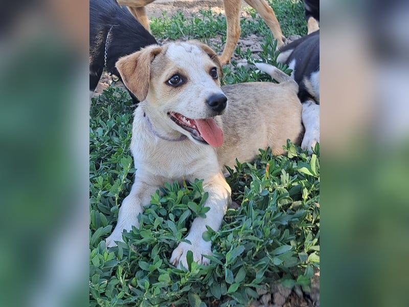 Kleine Nadja ( * 03 / 2025 ) sucht ihre Familie