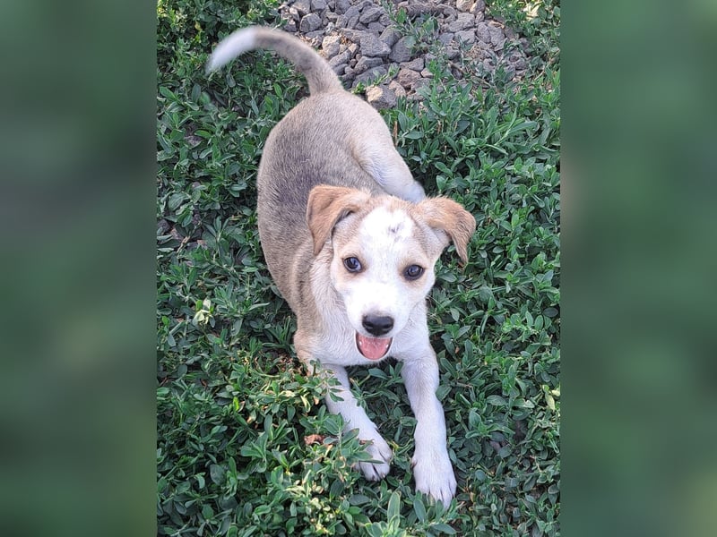 Kleine Nadja ( * 03 / 2025 ) sucht ihre Familie