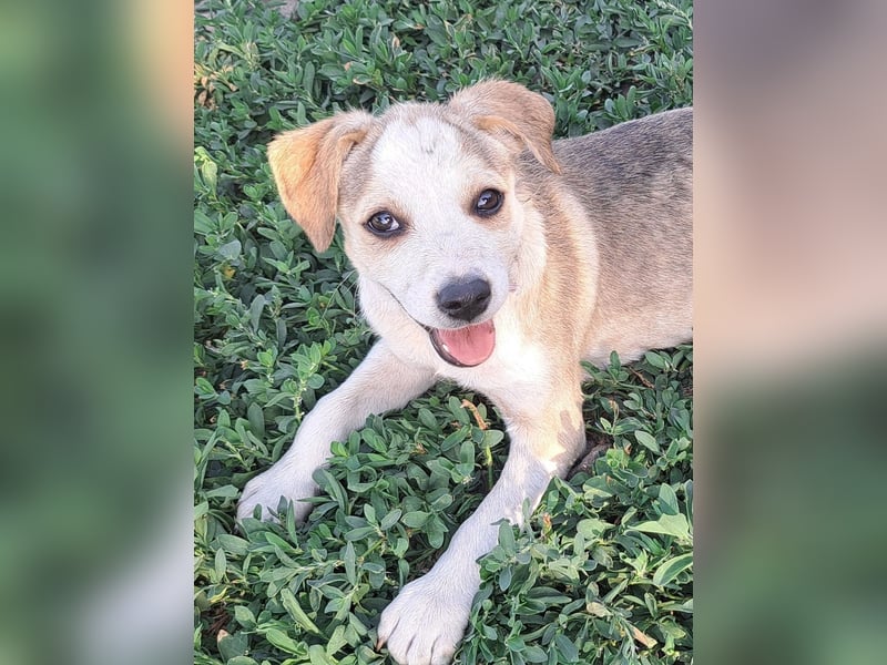 Kleine Nadja ( * 03 / 2025 ) sucht ihre Familie