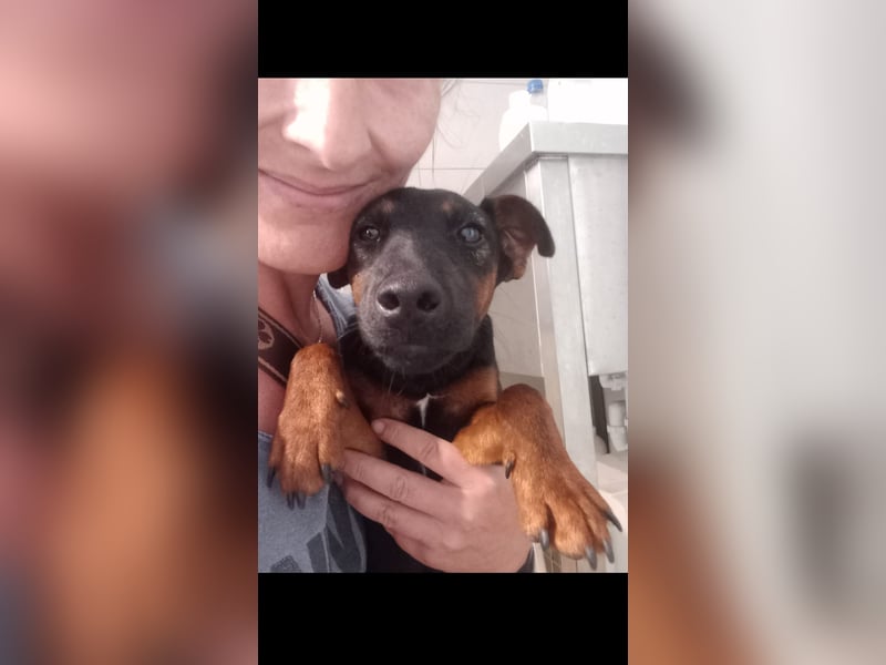 Matka Liebes Mäusschen sucht dich!
