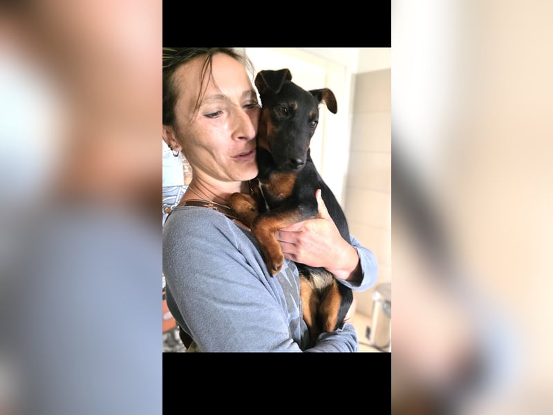 Matka Liebes Mäusschen sucht dich!