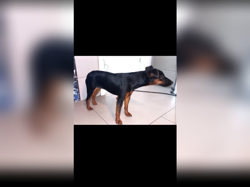 Matka Liebes Mäusschen sucht dich!