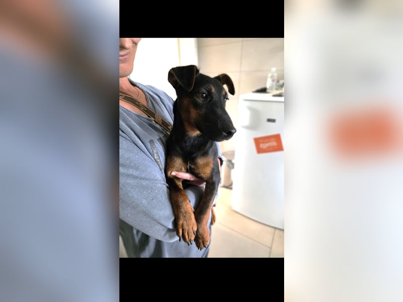 Matka Liebes Mäusschen sucht dich!