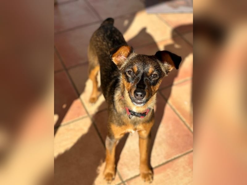 ❤️COKINA❤️