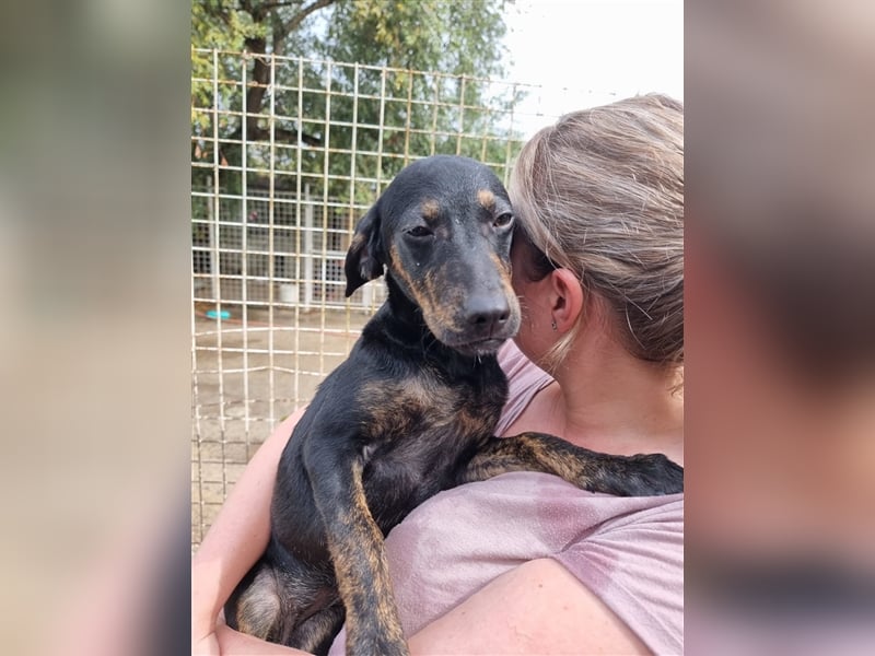 Mathilda sucht ihre Menschen