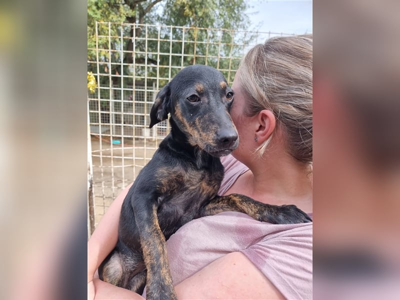 Mathilda sucht ihre Menschen