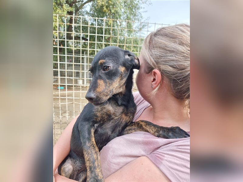 Mathilda sucht ihre Menschen