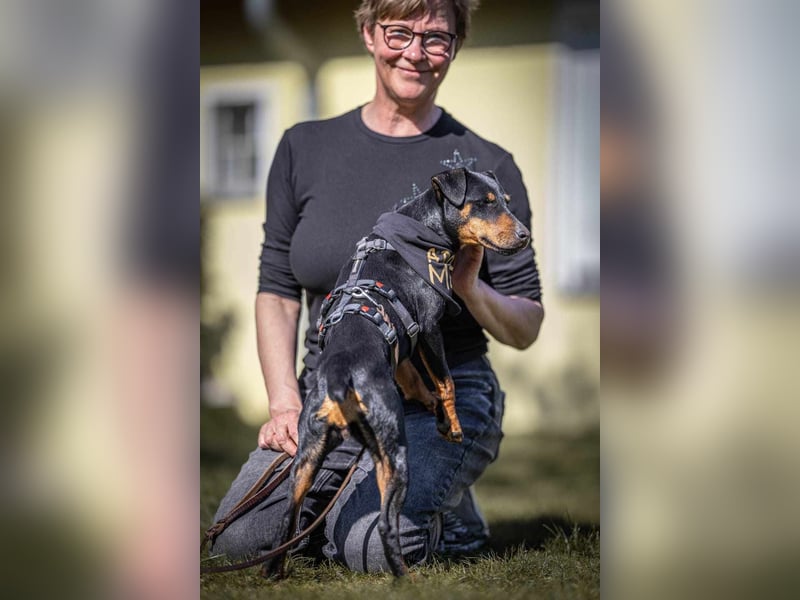 Leyla aktiver Jagdterrier Mischling Hündin sucht Zuhause für immmer