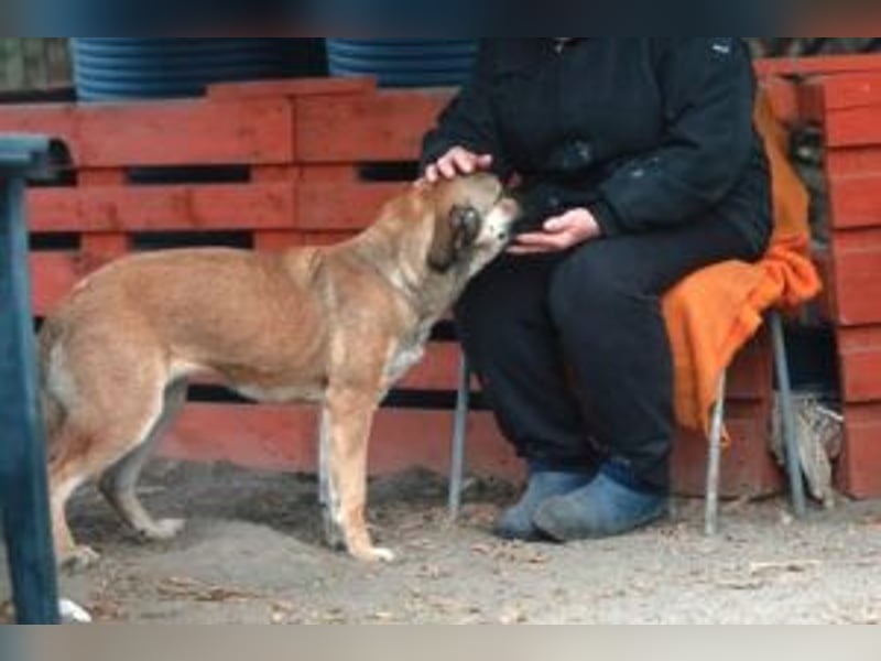 Update: ALANI -sucht einfühlsame Menschen