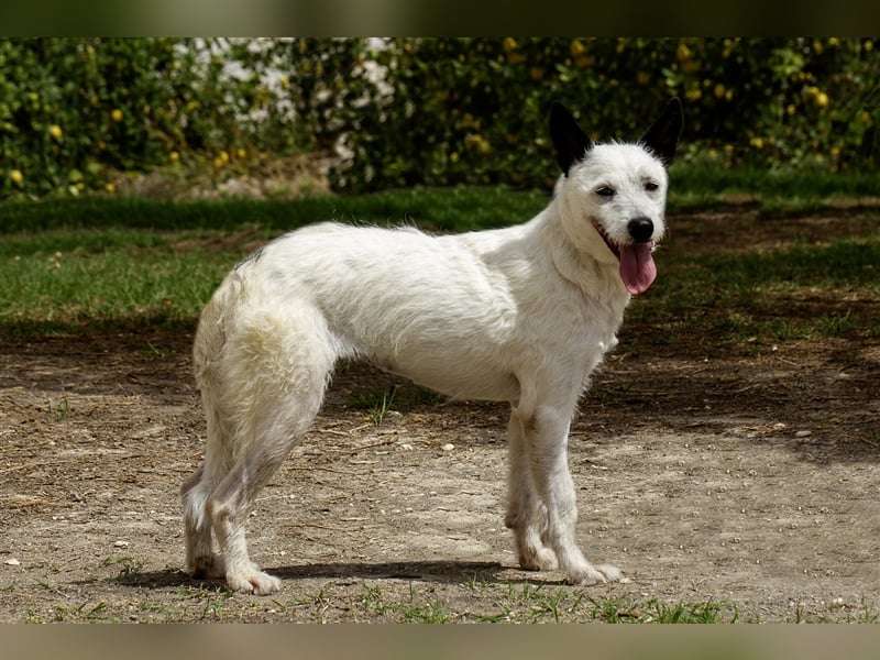 Maeva