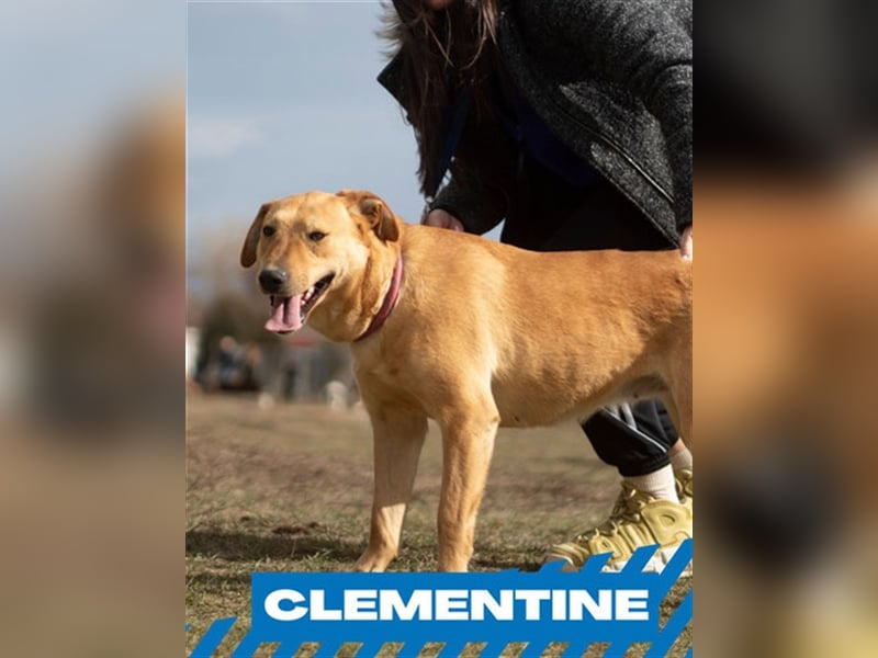 Clementine