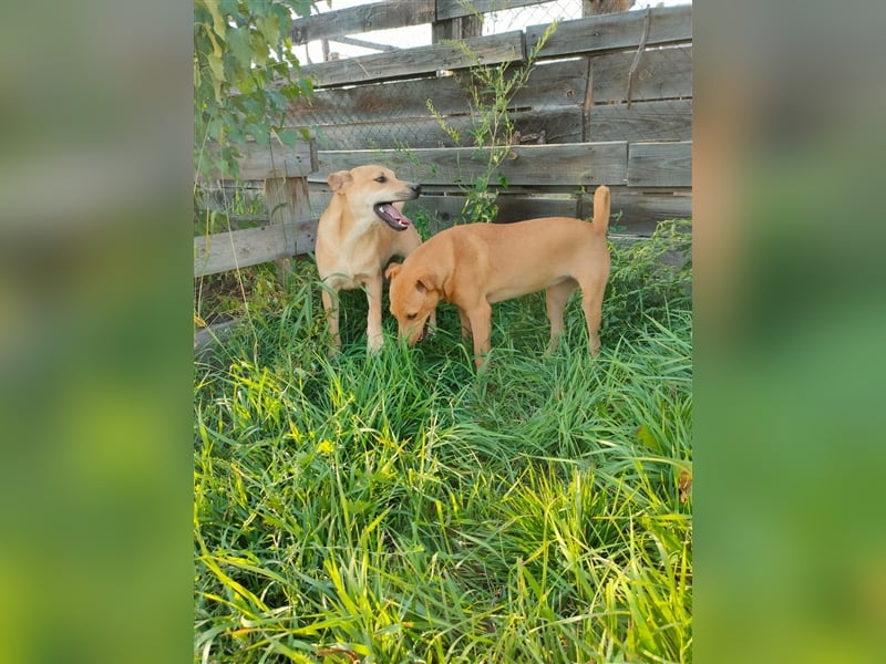 Lilly und Bonnie