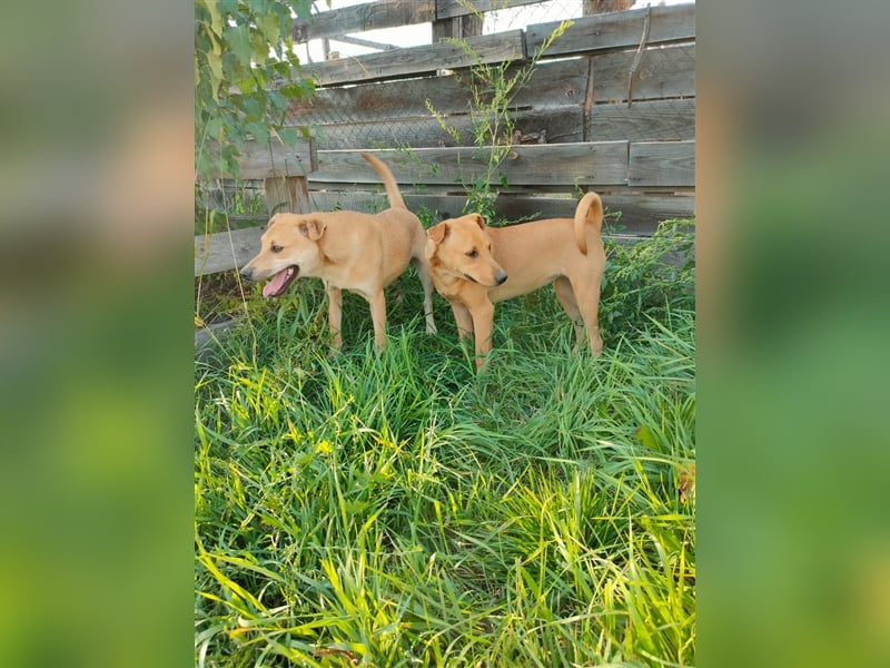 Lilly und Bonnie