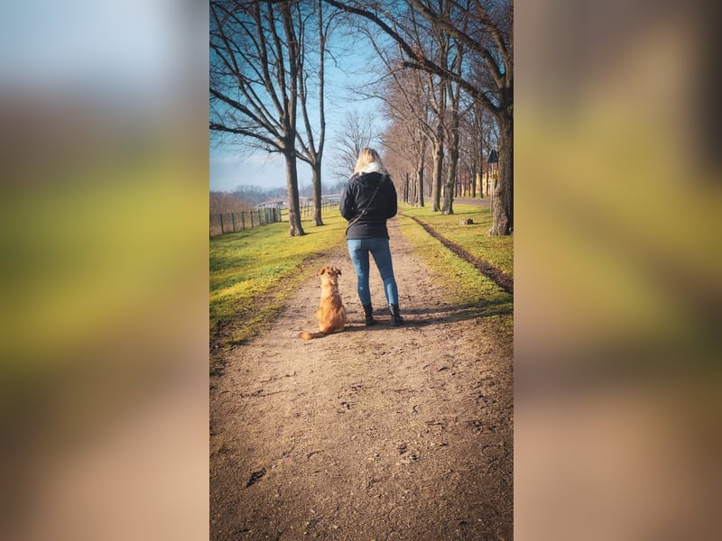 Die Füchsin Nala