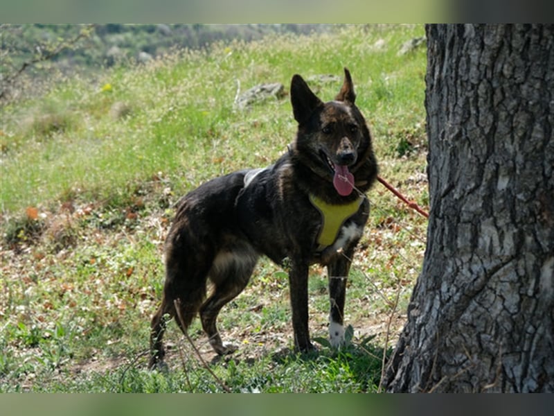 Ushka