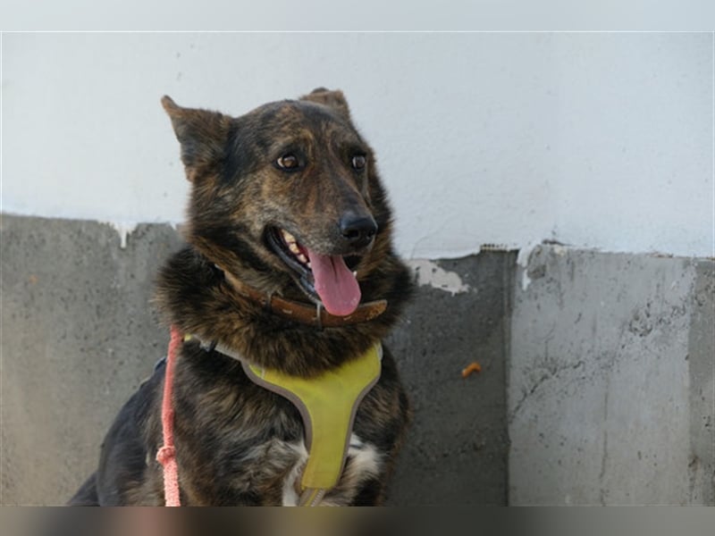 Ushka