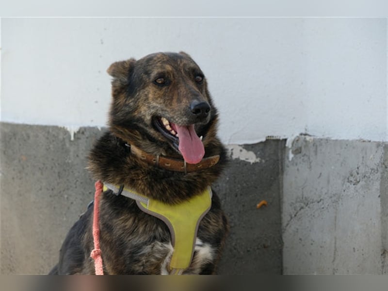 Ushka
