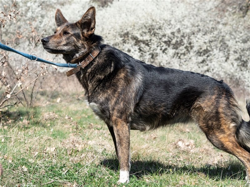 Ushka