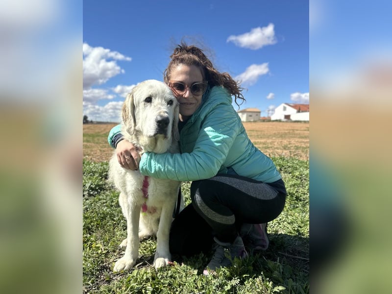 Ninette - sucht Gnadenplatz