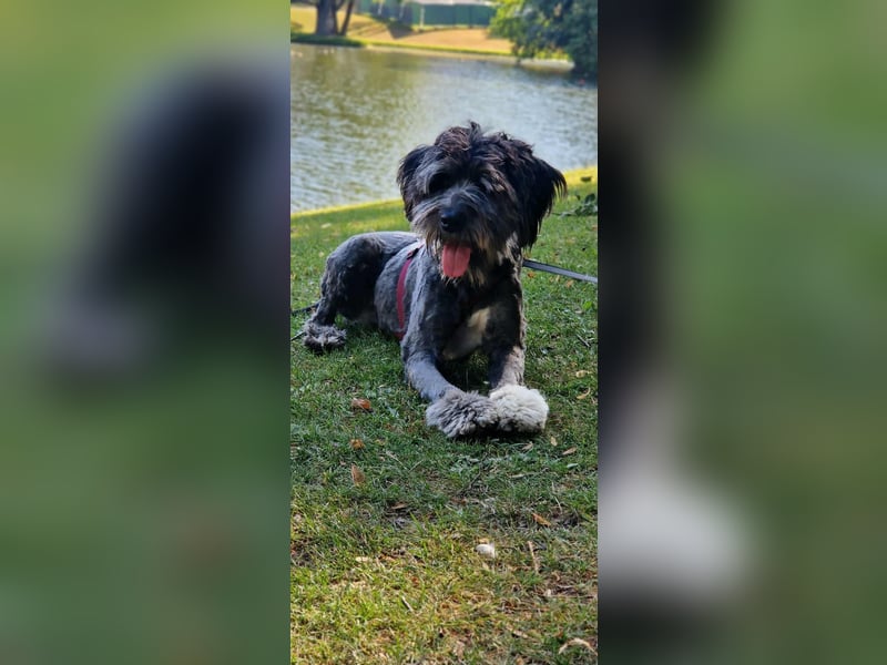 Layla - ein schönes,stolzes Mädchen