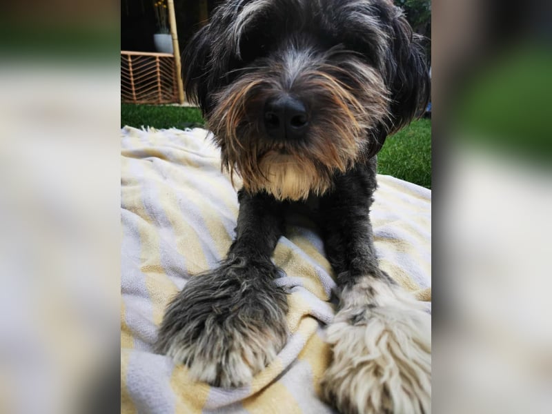 Layla - ein schönes,stolzes Mädchen