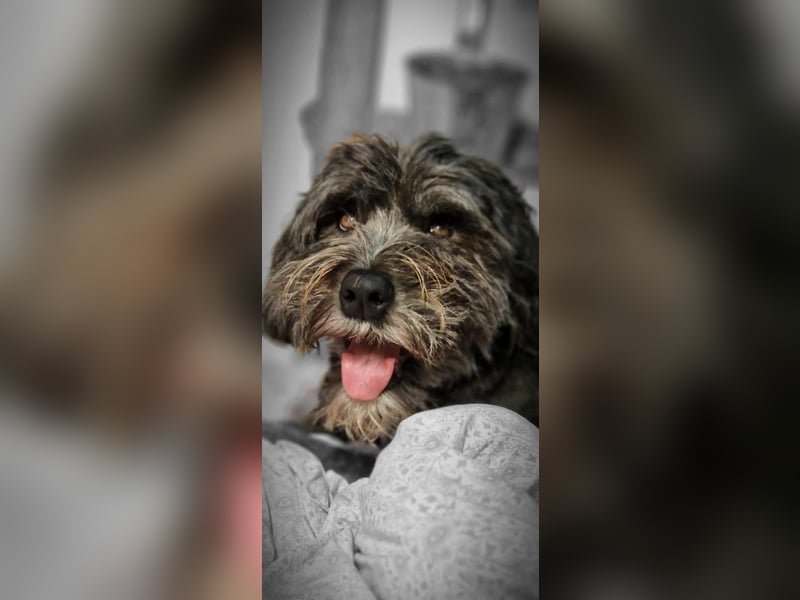 Layla - ein schönes,stolzes Mädchen