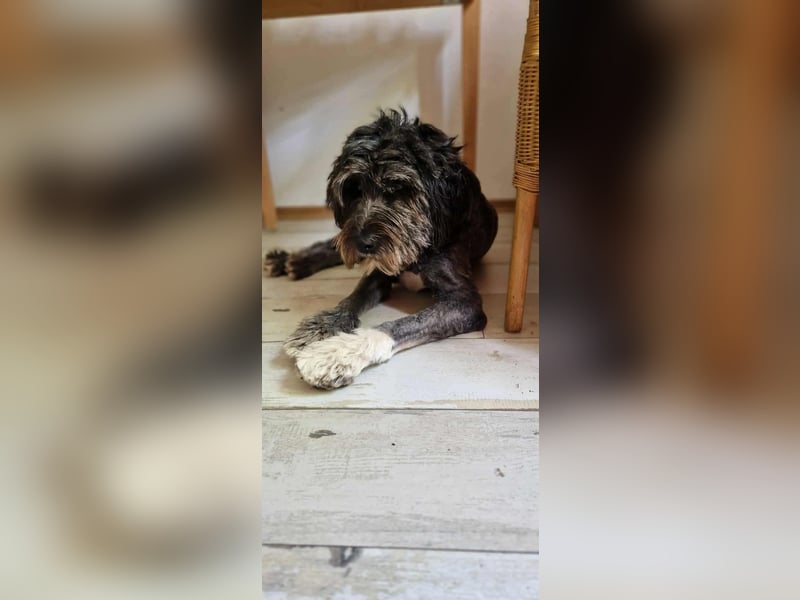 Layla - ein schönes,stolzes Mädchen