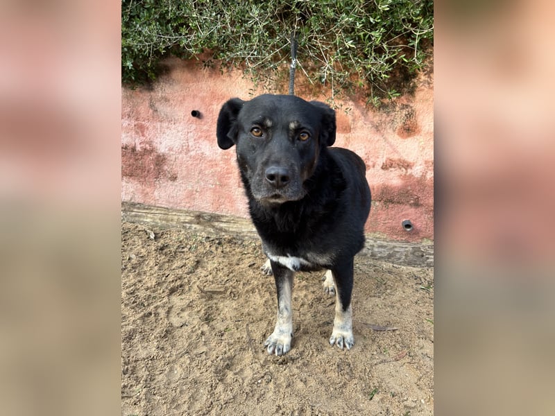 Vicky: Sanfte Seele sucht Geborgenheit (50321 Brühl)