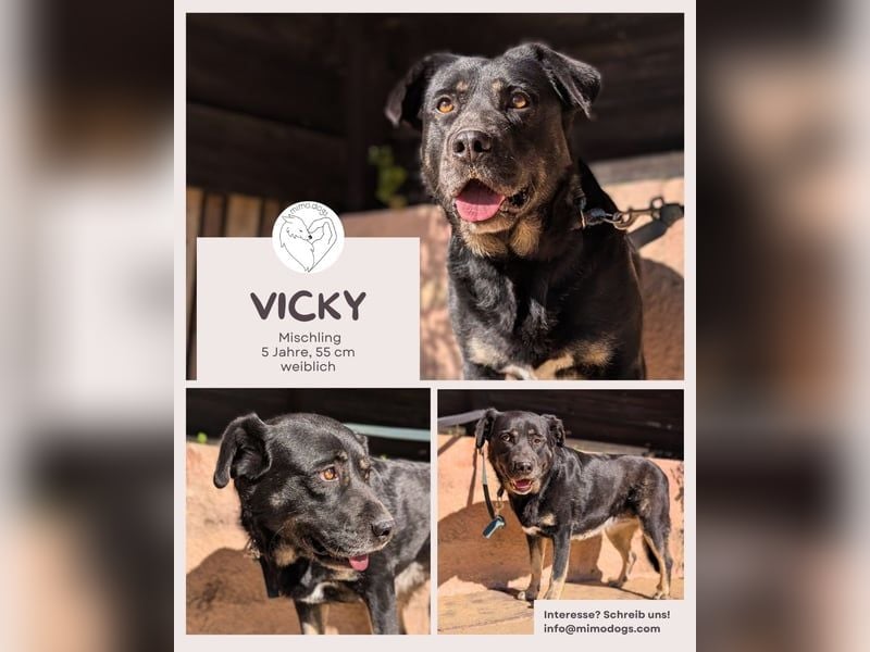 Vicky: Sanfte Seele sucht Geborgenheit (50321 Brühl)