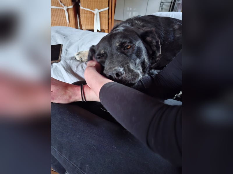 Vicky: Sanfte Seele sucht Geborgenheit (50321 Brühl)