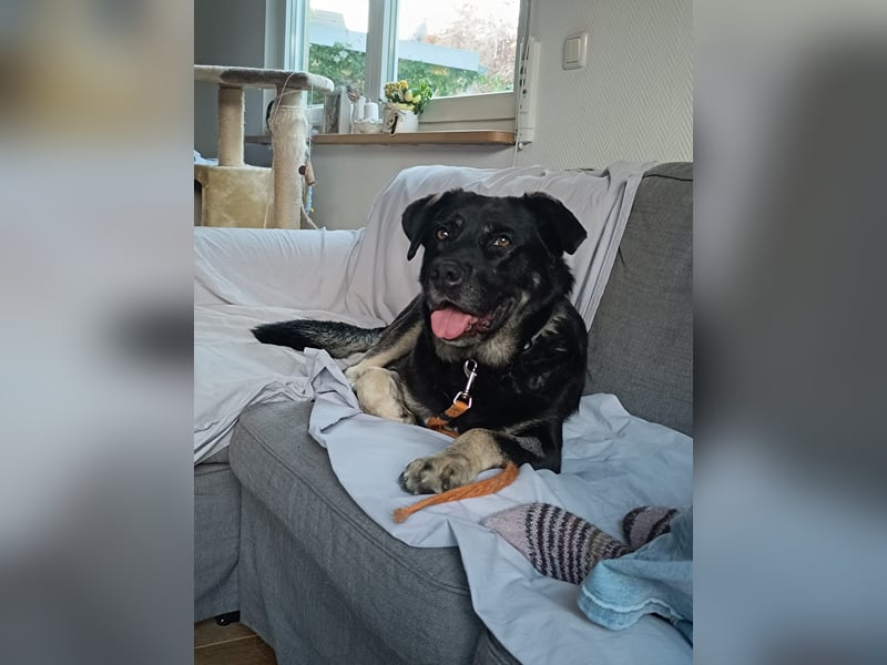 Vicky: Sanfte Seele sucht Geborgenheit (50321 Brühl)