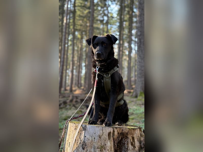 Lexi sucht Menschen die sie verstehen