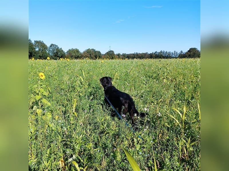 Nanda - schüchternes Mädel