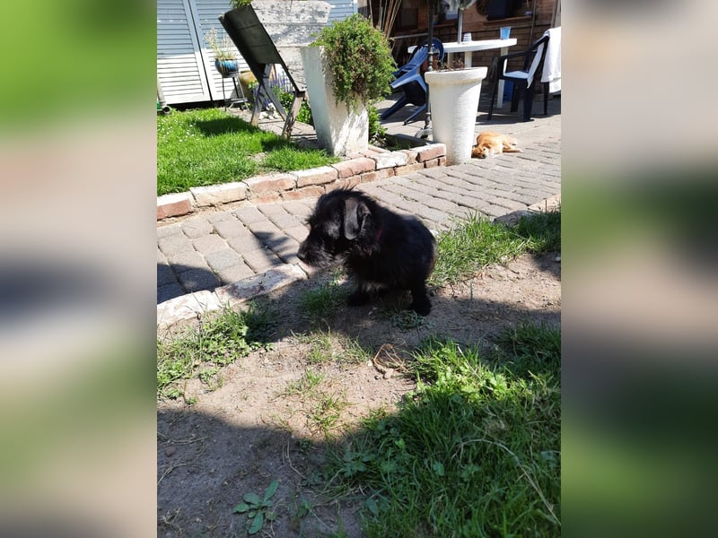 Neila sucht ihr Zuhause