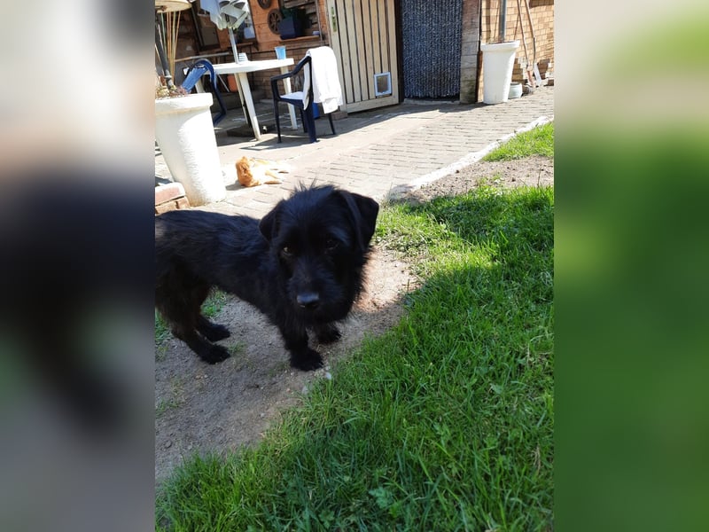 Neila sucht ihr Zuhause