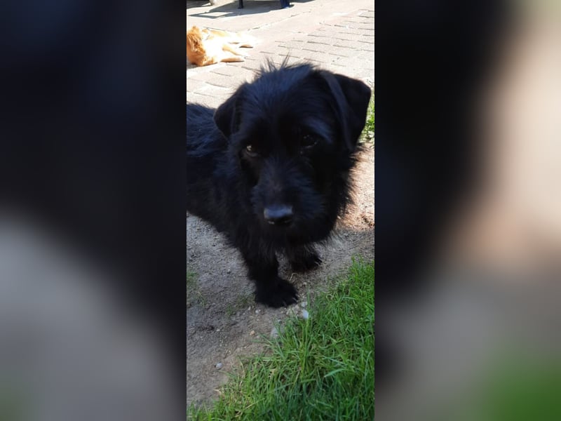 Neila sucht ihr Zuhause