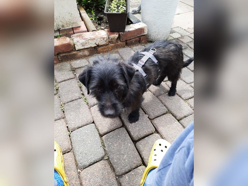 Neila sucht ihr Zuhause