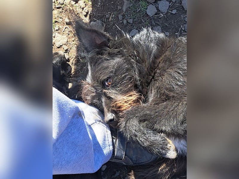 Bonnie sucht ihr eigenes Zuhause