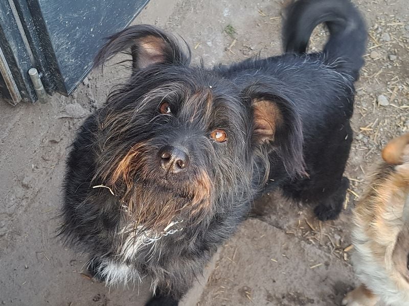 Bonnie sucht ihr eigenes Zuhause
