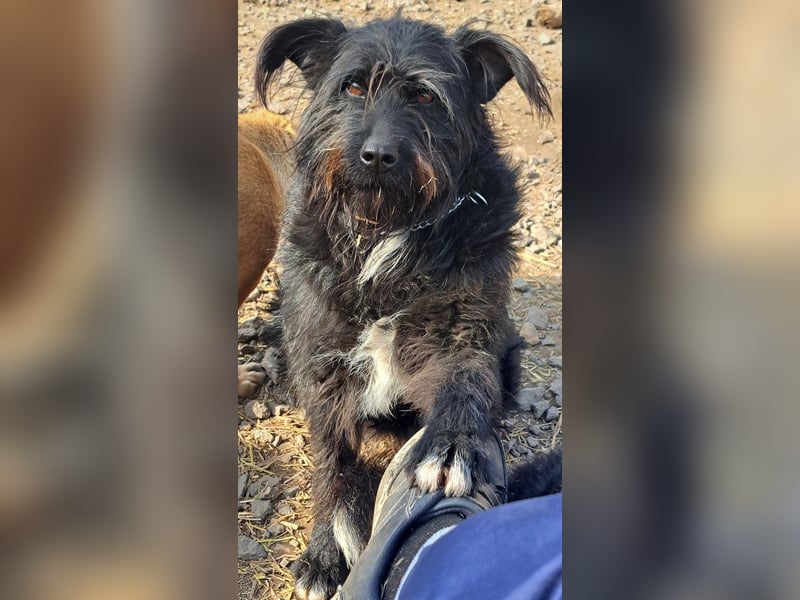Bonnie sucht ihr eigenes Zuhause