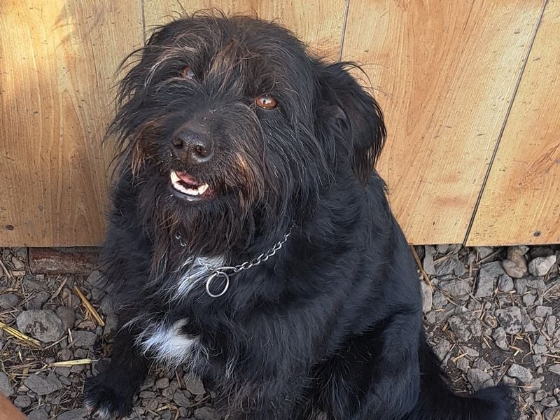 Bonnie sucht ihr eigenes Zuhause