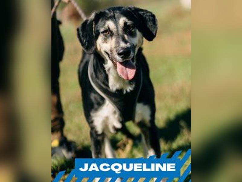 Jaqueline