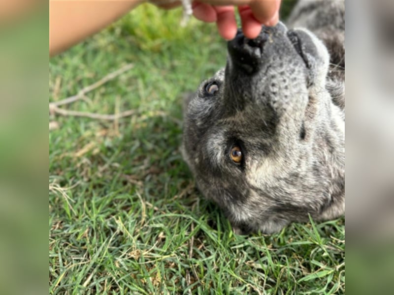 ❤️LOBA❤️