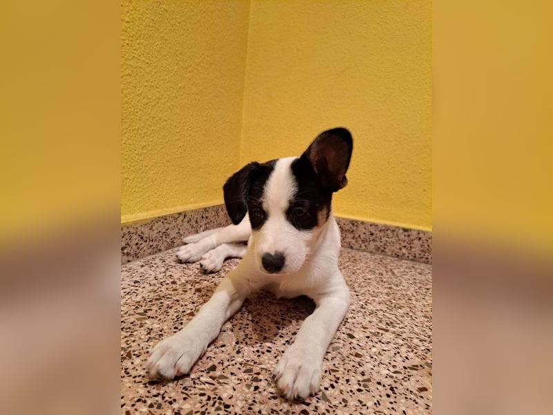 ❤️ CLEO ❤️