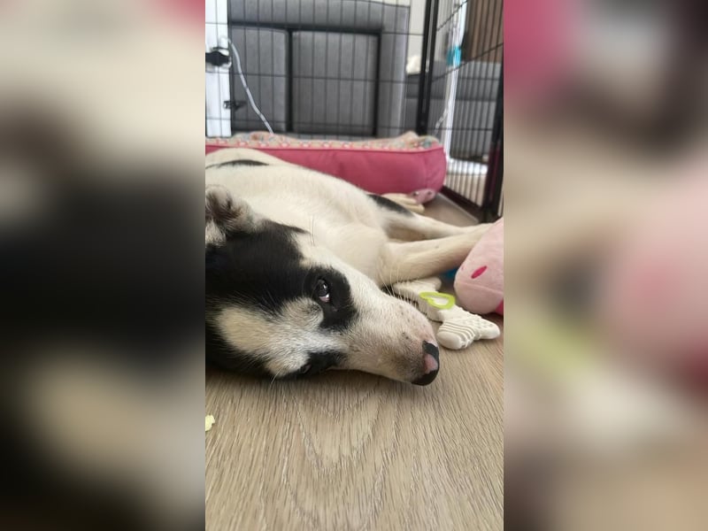 ❤️ KIKA ❤️